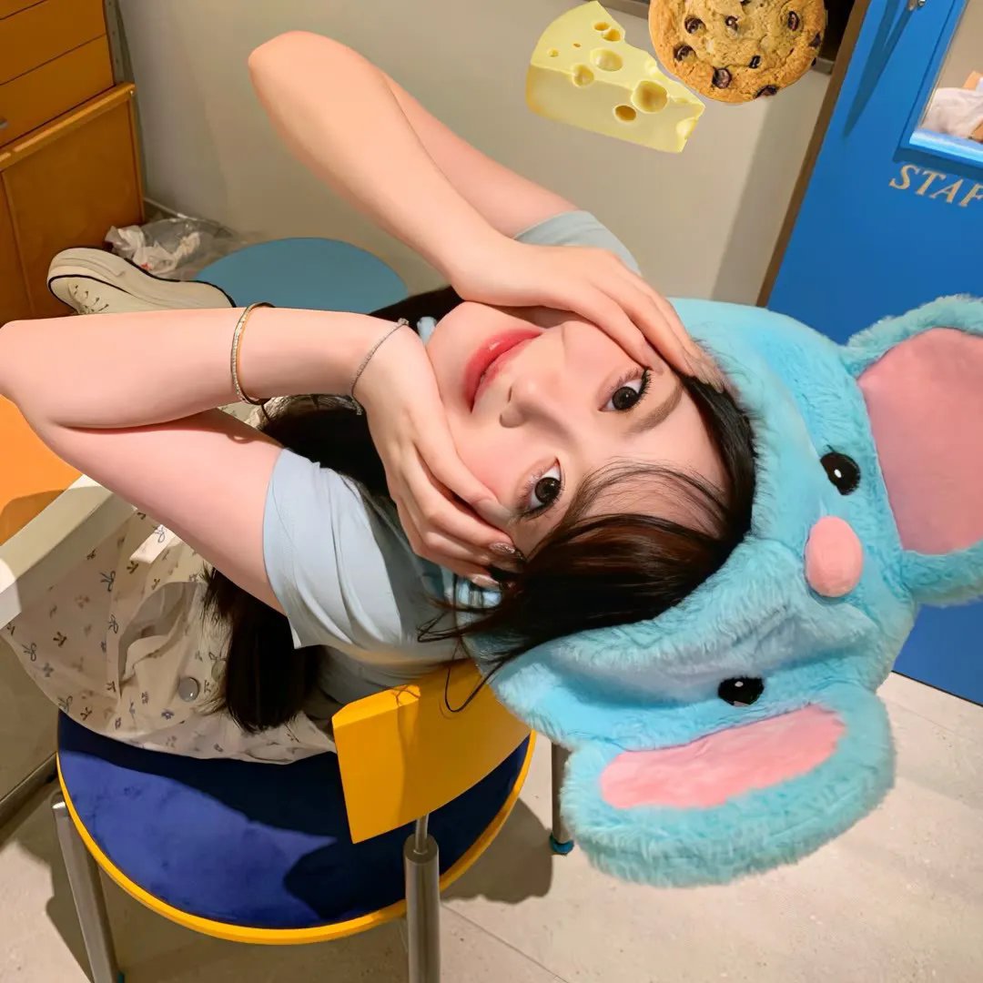 狗与剪刀的正确用法